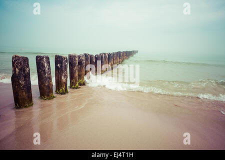 Pennelli in legno sulla spiaggia del Mar Baltico della Polonia. Foto Stock