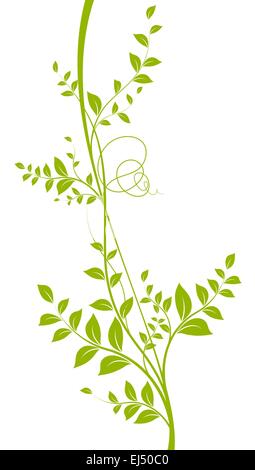 Vettore verde Liana su bianco - Impianto Silhouette Illustrazione Vettoriale