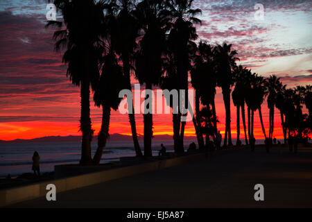Deep Purple e arancione tramonto con palme guardando verso Anacapa Island, Ventura, CALIFORNIA, STATI UNITI D'AMERICA Foto Stock