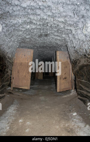Cella freezer scolpiti nei sotterranei del permafrost in Tuktoyaktuk forniscono la conservazione a freddo per i residenti. Foto Stock