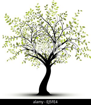 Vettore di giovani alberi con foglie verdi su sfondo bianco con ombra Illustrazione Vettoriale