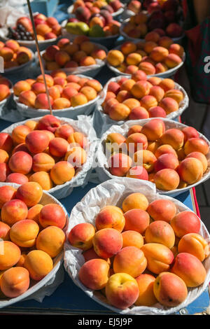 Le albicocche su un mercato in stallo il mercato del sabato in Beaune, Francia, Dordogne, Europa Foto Stock