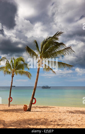 Le palme in crescita sulla spiaggia a Vinpearl Resort, Phu Quoc island, Kien Giang Provincia, Vietnam. Foto Stock