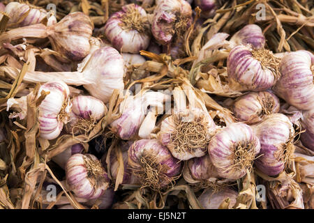 Aglio fresco nel cesto di vimini visualizzare al mercato agricolo di stallo vegetale Closeup, Francia, Europa Foto Stock