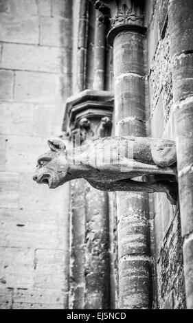 Vista laterale di uno dei feroci pietra intagliata grottesche sulla parte esterna della storica cattedrale di Bayeux in Normandia, Francia. Foto Stock