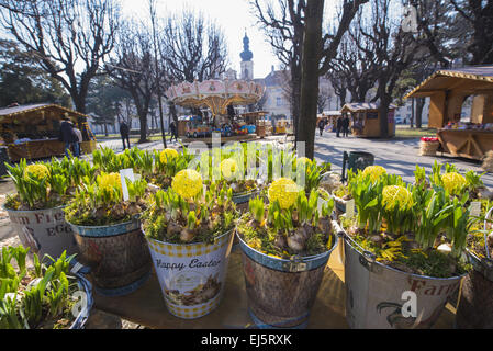 Vienna, Altes AKH, Ostermarkt, mercato di Pasqua, Austria Foto Stock