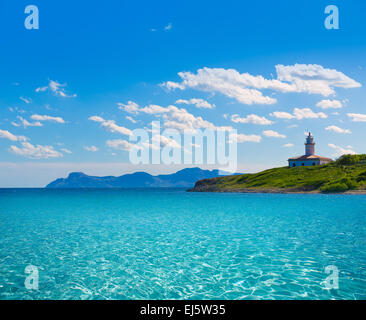 Platja de Alcudia Aucanada beach in Maiorca isole Baleari Foto Stock