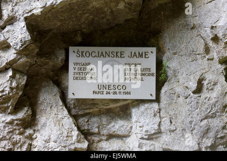 Grotta,Parco Nazionale di Skocjanske, Istria, Slovenia, Europa Foto Stock