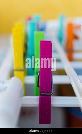 Spine colorate su una linea di lavaggio Foto Stock