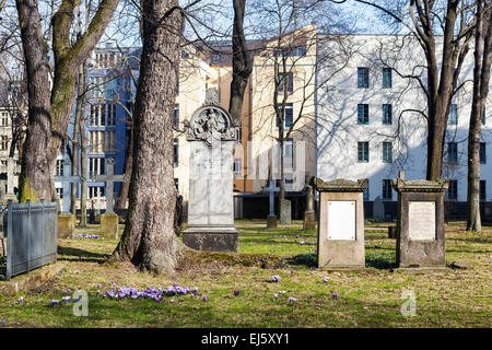 Berlin stagione primaverile, crocus fiori tra le tombe nel vecchio cimitero di guarnigione, Alte Garnisonfriedhof, Mitte di Berlino Foto Stock