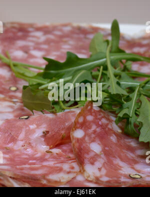 Una tipica Toscana italiano chiamato Salame Finocchiona Foto Stock