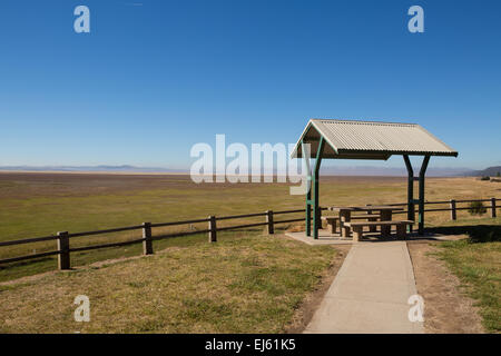 Un riparo posto picnic sulle rive del lago George, NSW, Australia Foto Stock