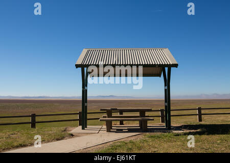 Un riparo posto picnic sulle rive del lago George, NSW, Australia Foto Stock