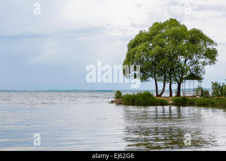 Lago Pleshcheyevo con alberi in primo piano Foto Stock