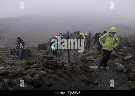 Walkers sul Tangariro alpine crossing a piedi in condizioni meteorologiche estreme. La Nuova Zelanda. Foto Stock