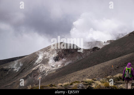 Il vapore passando da Te Maari cratere, scena dell'ultima eruzione del Monte Tongariro, Nuova Zelanda. Foto Stock