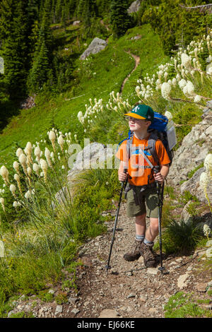 Un giovane backpacker gode di campi di erba orso lungo il Kautz Creek Trail in Mount Rainier National Park, Washington, Stati Uniti d'America. Foto Stock