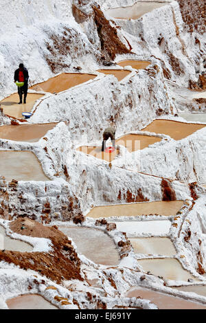 Le saline e gli uomini la raccolta del sale, Salineras (miniere di sale), Cusco, Perù Foto Stock