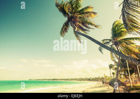 Le palme crescono su una spiaggia. Costa dell'Oceano Atlantico, Repubblica Dominicana. Vintage effetto tonico, vecchio stile per la correzione del colore Foto Stock