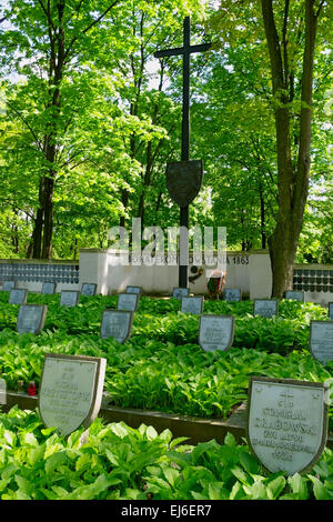 Powazki cimitero militare a Varsavia in Polonia. Tombe dei veterani polacco di insurrezione del gennaio (1863-1864). Foto Stock