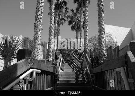 Grandview accesso alla spiaggia in Encinitas, CA, palme rivestimento scale Foto Stock