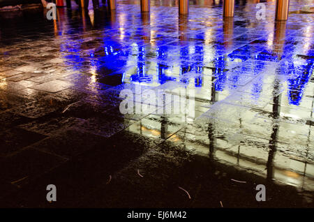 L'insegna al neon di Staten Island Ferry Terminal è riflessa nel pavimento bagnato durante una tempesta di novembre. Foto Stock