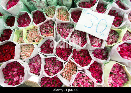 Giornale avvolto mazzi di rose per la vendita in un mercato in Thailandia, abstract full frame il raccolto Foto Stock