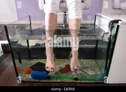 FILE - un archivio foto datata 23 settembre 2014 mostra un piccolo pesce (Garra Rufas) rodendo i piedi di un cliente nel 'Garra Rufa Lounge' in Kiel, Germania. Questi pesci sono esecuzione di pedicure in un numero crescente di città tedesche. Foto: Carsten Rehder/dpa Foto Stock