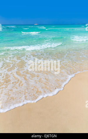 Maiorca Es Trenc ses Arenes spiaggia di Campos isole baleari di Mallorca Spagna Spain Foto Stock