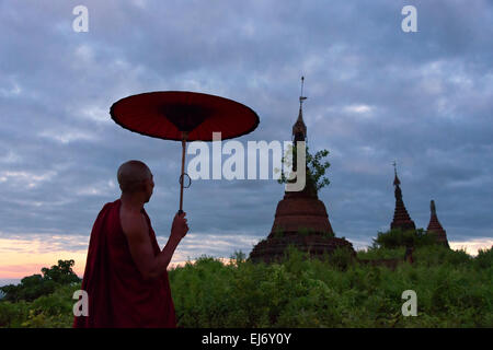 Monaco con ombrello guardando antico tempio e pagoda nella giungla di sunrise, Mrauk-U, Stato di Rakhine, Myanmar Foto Stock