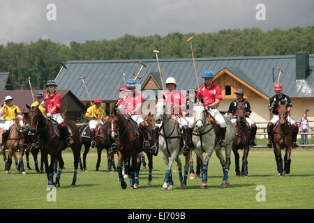 Gioco di Polo Foto Stock