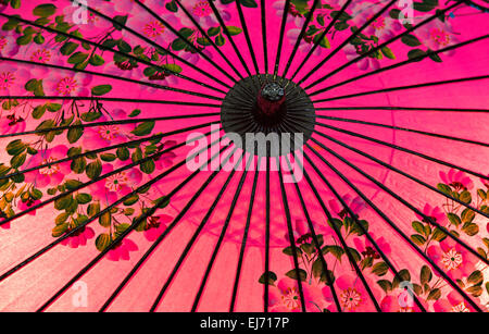 In stile giapponese tradizionale olio di rosa-ombrello di carta con un fiore di ciliegio motif, Giappone Foto Stock