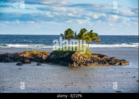 Isolotto roccioso, Tutuila, Samoa americane Foto Stock