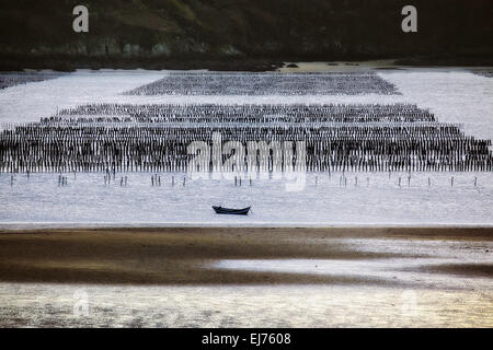 Baia di Arguenon, Bretagna Francia Foto Stock