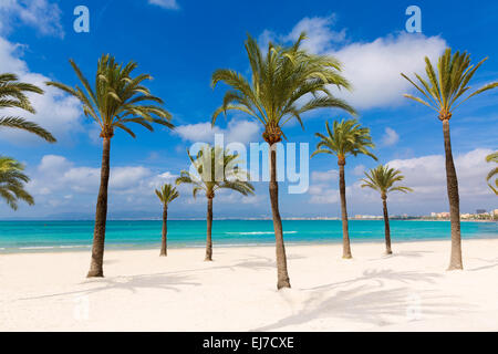 Maiorca sArenal spiaggia Arenal Platja de Palma Llucmajor a Maiorca Isole Baleari Foto Stock