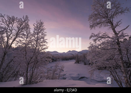 Abisko fiume nel crepuscolo, Abisko NP, Lapponia, Svezia Foto Stock