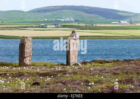 Due pietre permanente dall'anello di Brodgar vicino alla riva del lago di Harray su Orkney continentale. Foto Stock