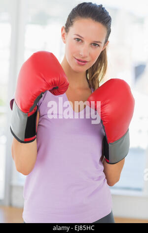 Ritratto di un determinato boxer femmina Foto Stock