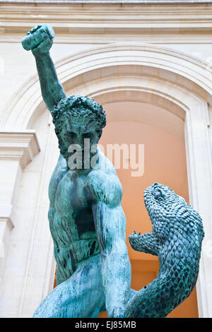 Lotta con il serpente Foto Stock