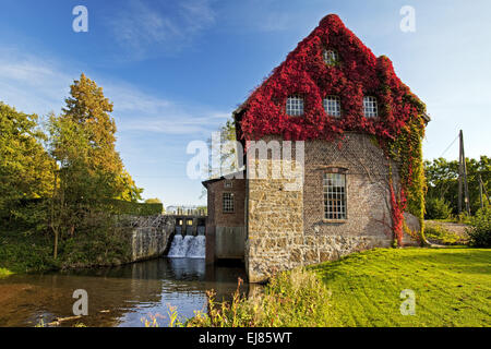 Tueshaus mill, Dorsten, Germania Foto Stock