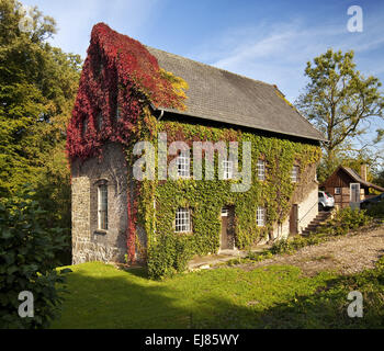 Tueshaus mill, Dorsten, Germania Foto Stock