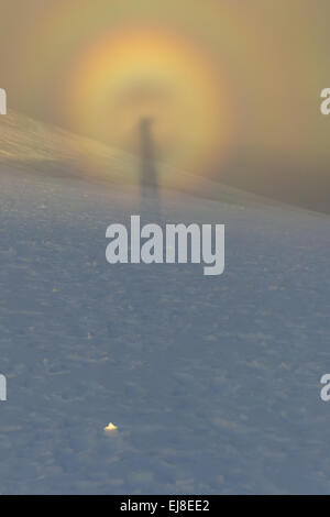 Brocken spectre, Mt. Kebnekaise, Lapponia Foto Stock