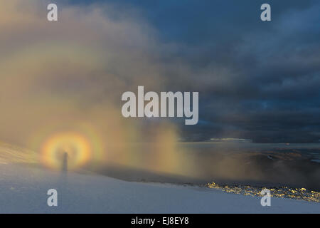 Brocken spectre, Mt. Kebnekaise, Lapponia Foto Stock