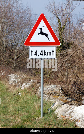 Traffico segno di avvertimento - animale selvatico cross road Foto Stock