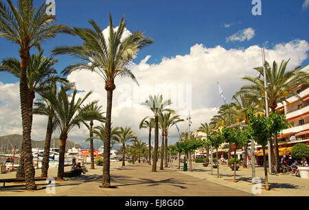 Port d'Alcudia Mallorca Spagna Spain Foto Stock