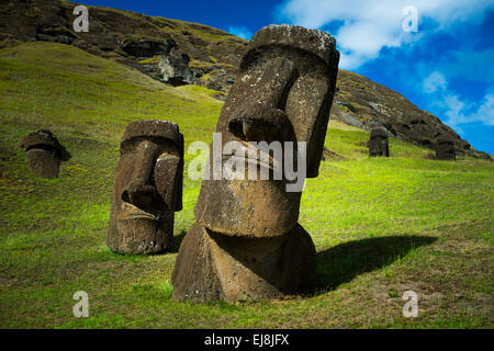 Moai a Rano Raraki, Isola di Pasqua, Rapa Nui, Cile Foto Stock