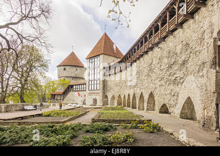 Il Giardino del Re danese Tallinn Estonia Foto Stock