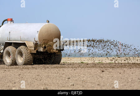 Il coraggio di slurry in uso Foto Stock