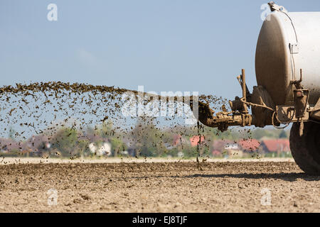 Il coraggio di slurry in uso Foto Stock