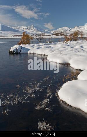 Paesaggio autunnale nella neve, Rondane NP, Norvegia Foto Stock